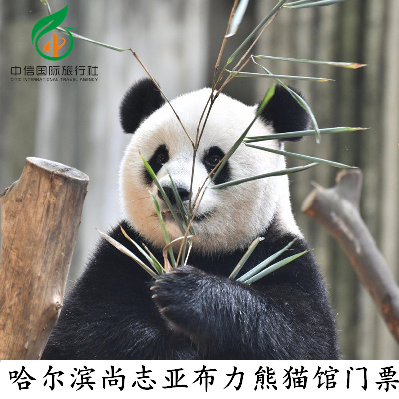 [亚布力熊猫馆-大门票]哈尔滨尚志亚布力熊猫馆门票