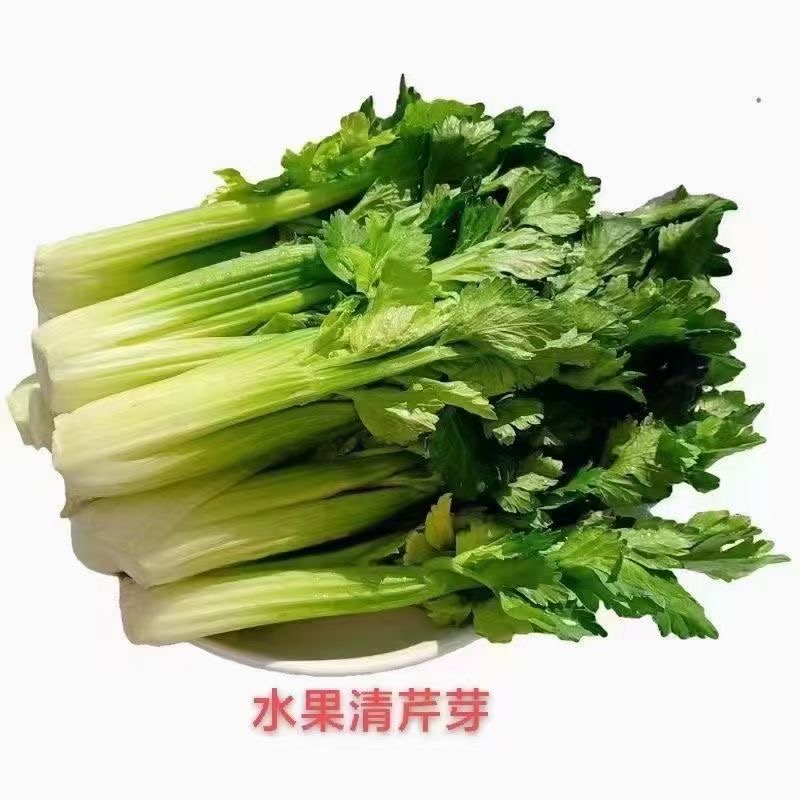 芹菜心 清芹芯 新鲜蔬菜云南高原生吃水果青芹芽特色食材 500g