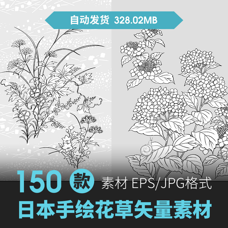 素描黑白手绘花朵花草花卉植物速写线描条手稿插画AI矢量图案素材