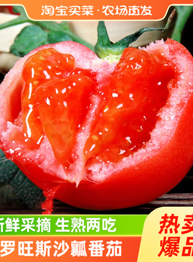 山东沙瓤西红柿当季新鲜番茄品质甄选沙瓤水果蔬菜限秒