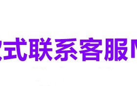 深圳市弘金地国际学校 校服订购 英伦风学院学生春秋运动装短袖EJ