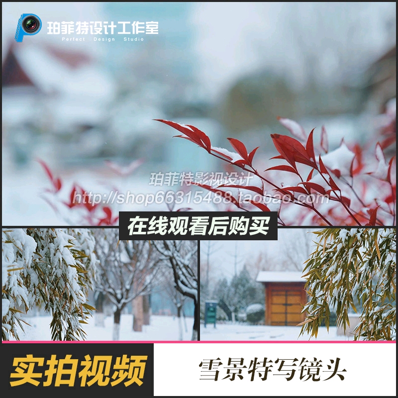 冬天下雪雪景 唯美空镜头超清特写冬季树叶上的雪花积雪视频素材