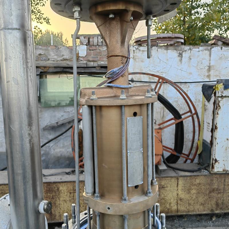 LNG潜液泵 低温潜液泵 美国ACD潜液泵,瓦斯低温泵,型