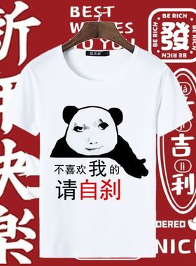 2024龙年龙图龙玉涛T恤男女短袖恶搞趣味表情包斗图学生体恤夏季