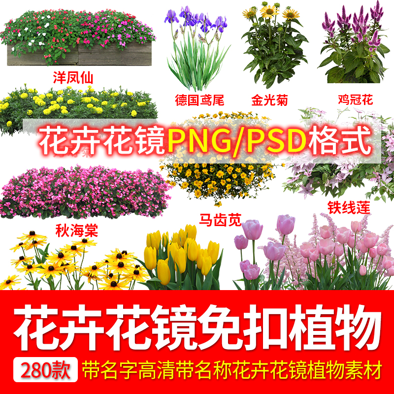 花卉植物procreate花镜ps花坛PSD效果图PNG免抠高清带名称素材