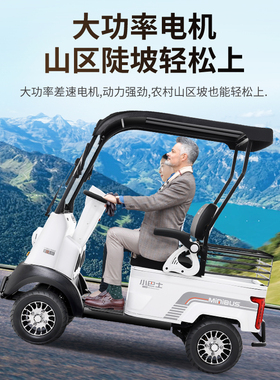 小巴士X2电动四轮车老年人代步车双人座带棚残疾人接送孩子电瓶车