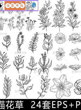 HH97线描线稿简笔画花草白描素描临摹花卉植物图案矢量素材图PNG