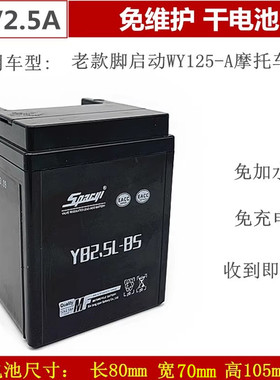 摩托车五羊电瓶电池WY125-A12V2.5A-3C脚踩打火老款125电池YB2.5L