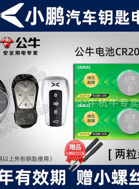 适用小鹏P7 P5 G3 G6 G9 G3I X9汽车钥匙电池CR2032专用智能遥控器纽扣电子2020 2021 2022年2023 24款电磁