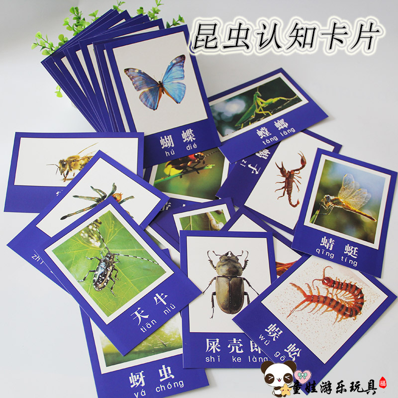 昆虫动物图片儿童早教用品一年级常见昆虫认知卡片幼儿园益智教具