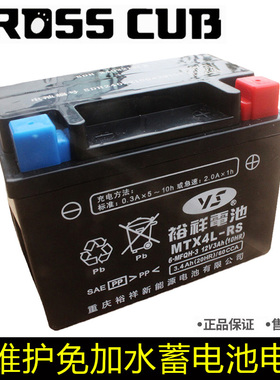 新大洲本田SDH110-26幼兽CC110干电瓶免维护免加水蓄电池原厂正品