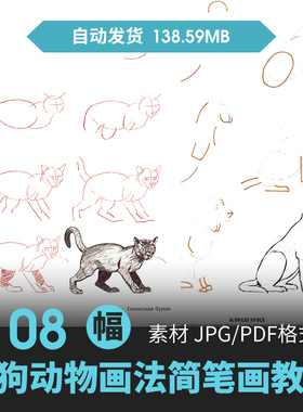手绘动物画法简笔画基础教程生物动态结构绘画线稿素描参考素材