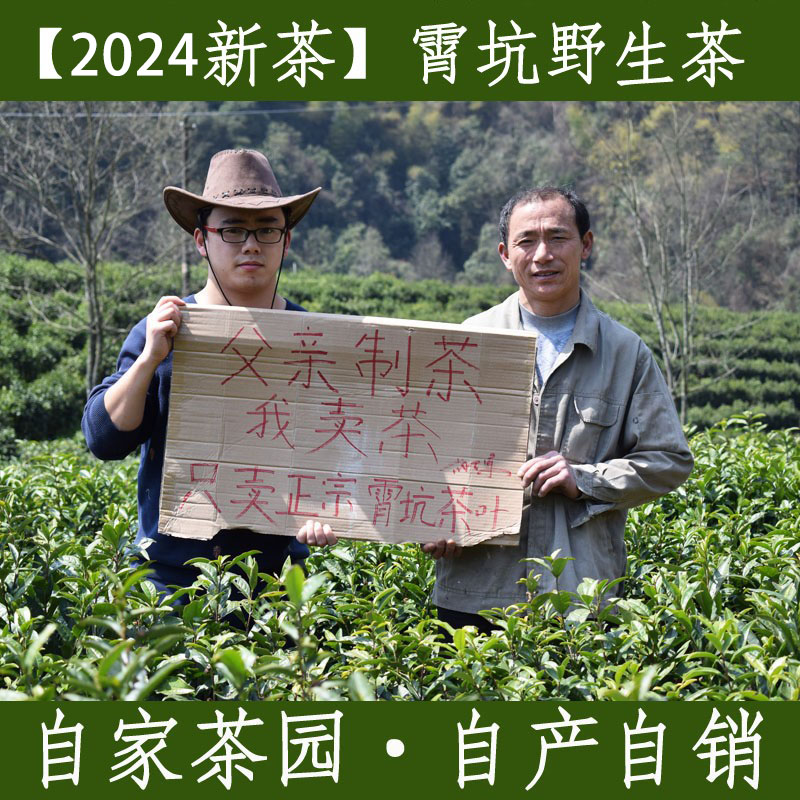 2024新茶安徽池州肖坑茶叶霄坑野生茶高山野生茶绿茶叶250g