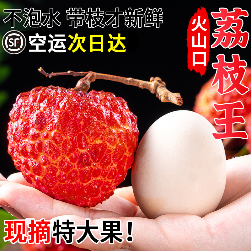 海南荔枝王5斤新鲜水果当季整箱海口火山岩荔枝王超大果现摘现发