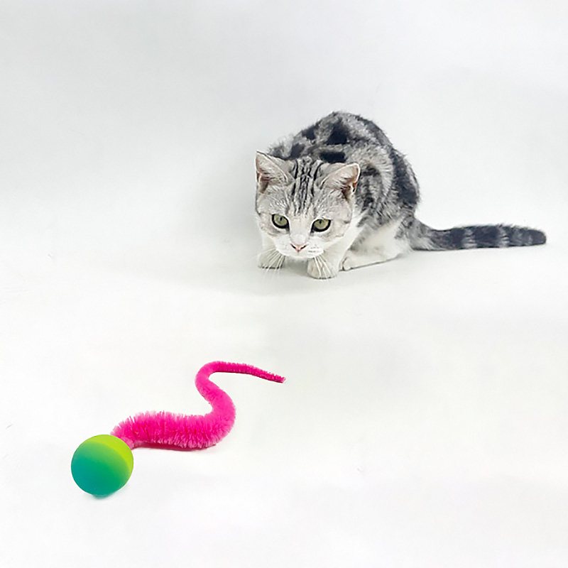 猫咪玩具逗猫跳跳弹力球响纸条毛毛虫羽毛自嗨解闷宠物猫趣味用品