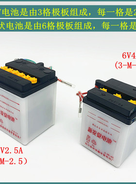 摩托车电池嘉陵70JH70复古电池6V4A电瓶12V2.5A蓄电池CYV80 AX100