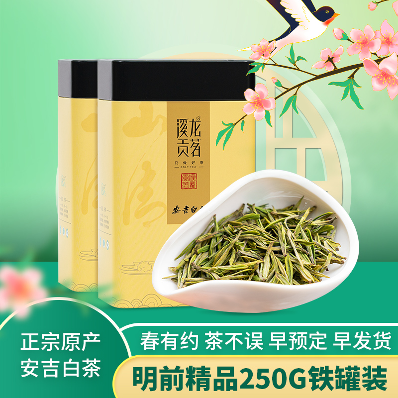 正宗安吉白茶2024特级新茶嫩芽明前精品250g罐装新茶礼盒装茶叶