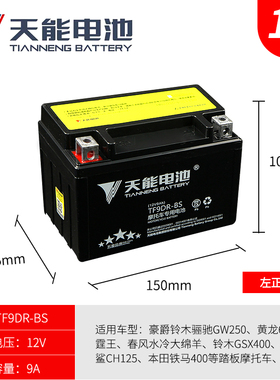 摩托车电瓶YTX9-BS黄龙600/300光阳250贝纳利GW25012V通用干电池