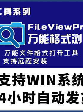 FileViewPro远程安装 2024万能文件格式打开FileView全能通用查看