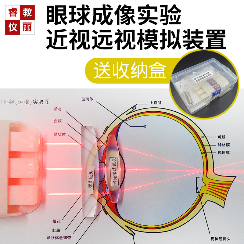 眼球成像实验近视远视模拟装置近视眼老花眼形成纠正光学透镜器材
