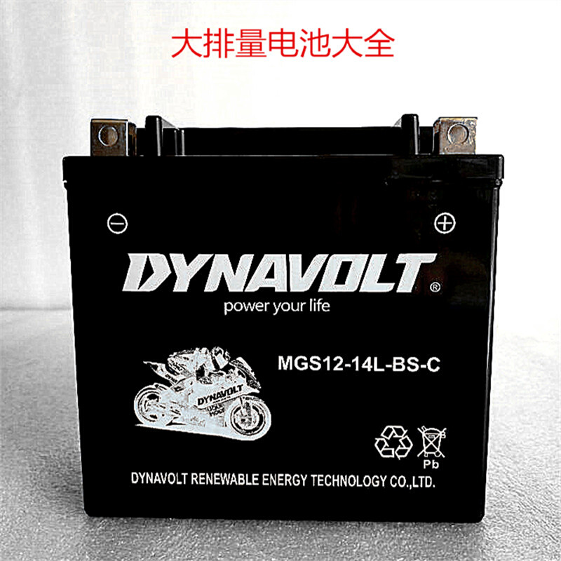 猛獅摩托车电池YTX12v14L哈雷883电瓶X48硬汉1200通用750/V72X72