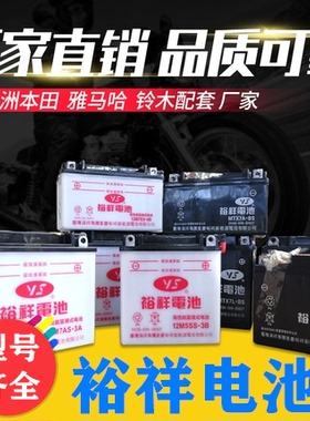 台湾裕祥摩托车电瓶12V免维护电池新大洲五羊本田铃木雅马哈通用
