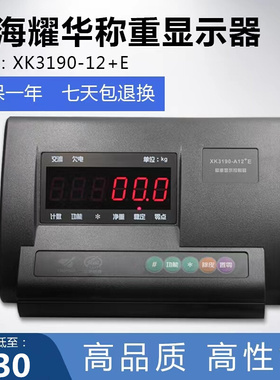 耀华X3190-A12 E仪表称重显示器小地磅计重表头电子秤连电脑