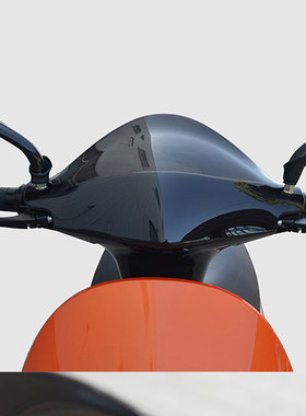大阳E客电动车电动摩托车锂电ecooter智能电动车通用遮光板