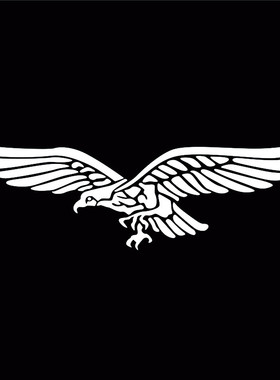 防水反光汽车贴纸电动摩托二战空军老鹰徽A247德国雄鹰标车贴