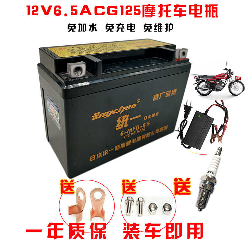 YT6.5-BS摩托车干电瓶ZJ125珠江王钱江豪江天马CG125本 田蓄电池