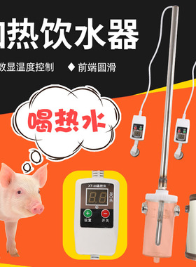 小猪用恒温加热饮水器仔猪保育猪羊用自动加热热水器产床养殖兽用