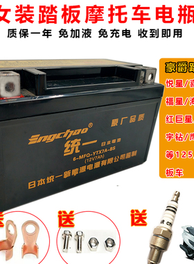 适用钱江蓝宝龙QJ150-17A/125T-3A摩托车电瓶125踏板车蓄电池12V