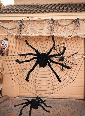 Black White Halloween Spider Web Giant Stchy Cobweb For