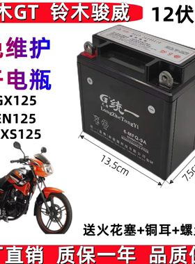 轻骑铃木GT125骏驰QS125-5男士摩托车统一免维护电池12V9A干电瓶