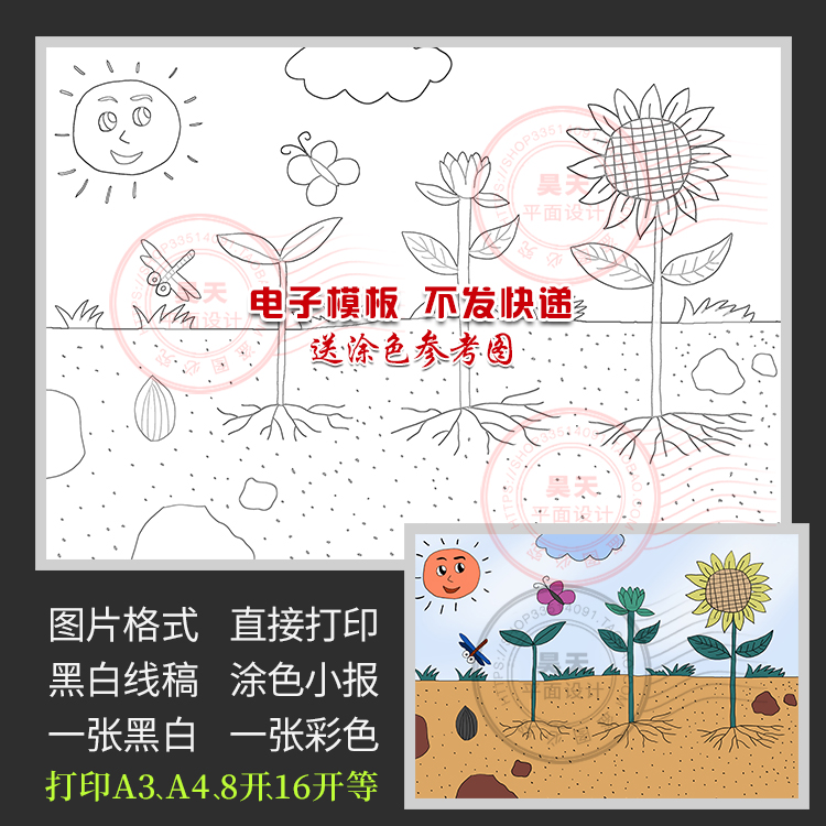 向日葵植物成长儿童画报黑白线描图涂色电子小报绘画模板WL221