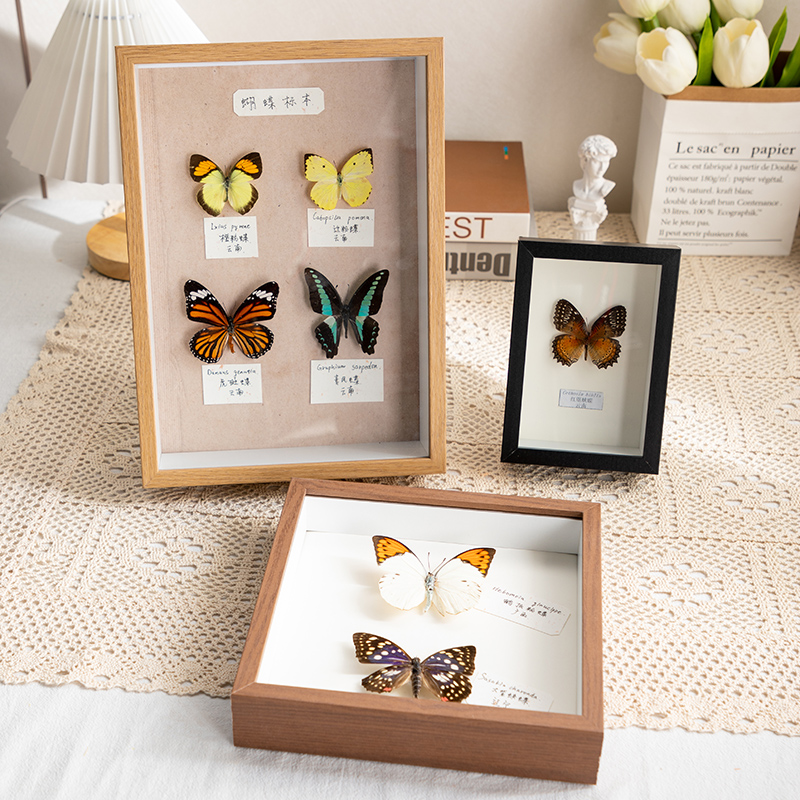 中空相框摆台手工diy真蝴蝶a4昆虫标本盒立体框架展示框画框深度