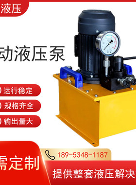 超高压电动泵双回路定制液压油泵泵站手动换向阀小型220V液压泵
