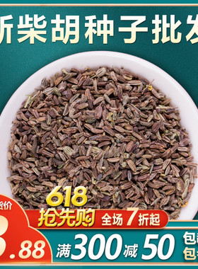 中草药柴胡种籽优质柴胡种子四季黑柴胡种植苗31号黄柴胡籽可套种