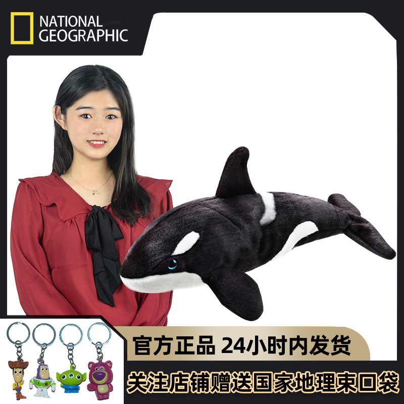 国家地理毛绒玩具仿真虎鲸玩偶娃娃公仔海龟海洋公园动物礼物宝宝