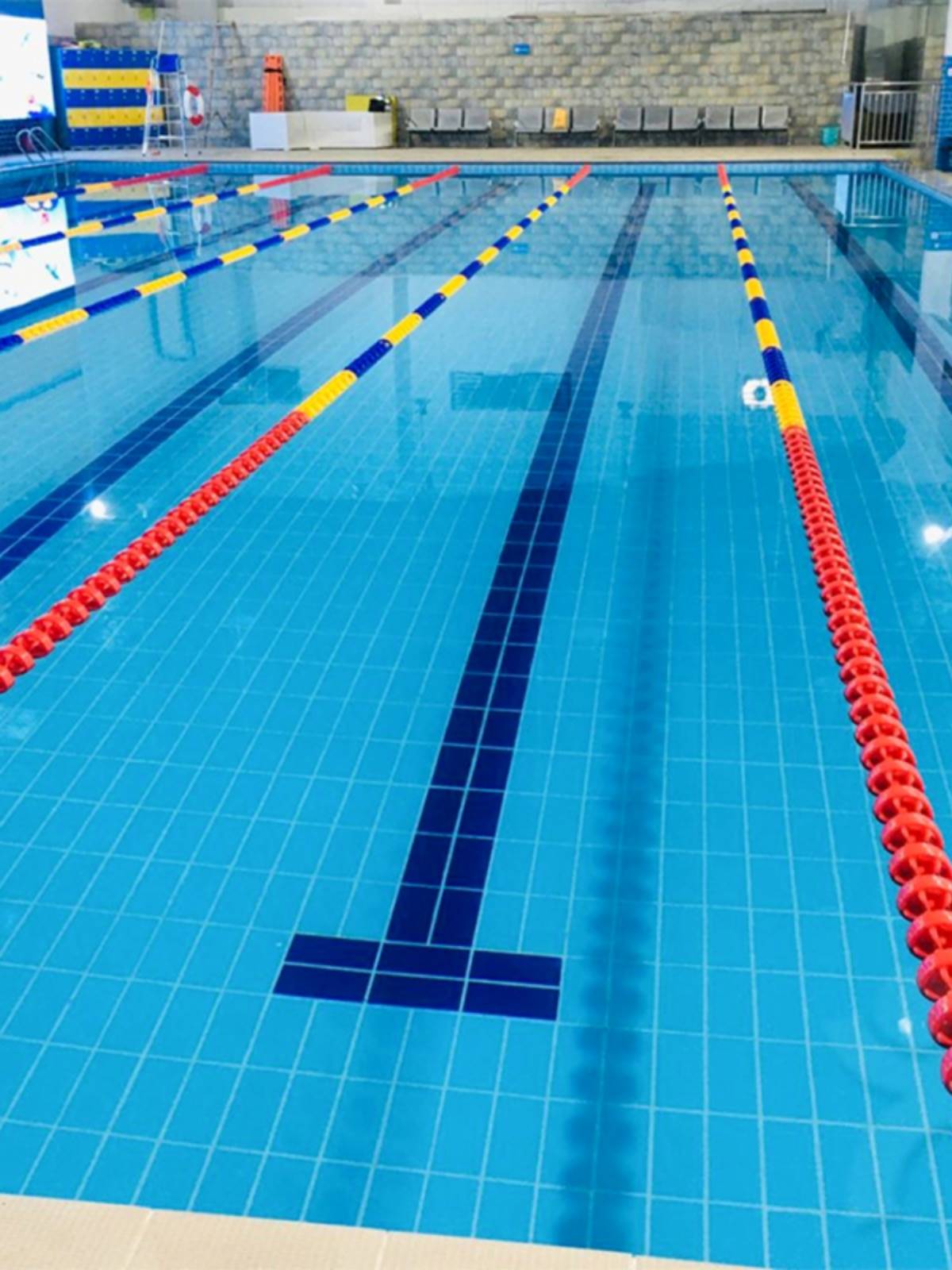 地中海标准游泳池专用瓷砖陶瓷X蓝色体育馆学校室内水池砖