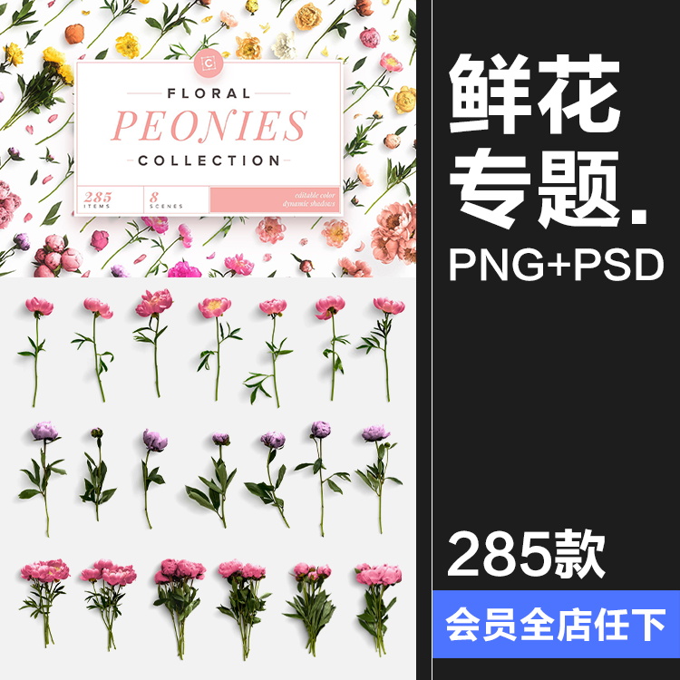 鲜花专题牡丹花卉花艺花店植物花瓣PNG免抠源文件PSD模板素材