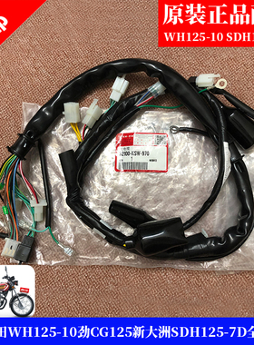 本田WH125-10劲CG125新大洲SDH125-7D全车线总成电缆原装正品配件