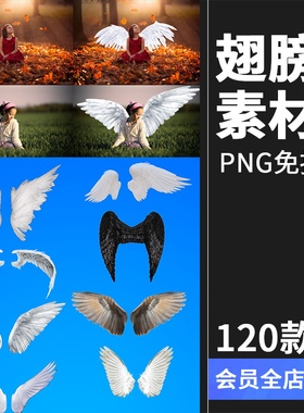 黑白色天使翅膀羽翼PNG照相馆儿童摄影后期装饰合成设计PS素材