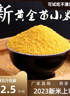 黄小米新米五斤黄金苗一级小黄米农家粗粮小米月子米食用五谷杂粮