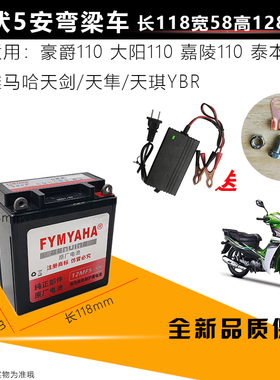 雅马哈125骑跨摩托车电瓶12V7A9A蓄电池助力踏板车干电池免维护