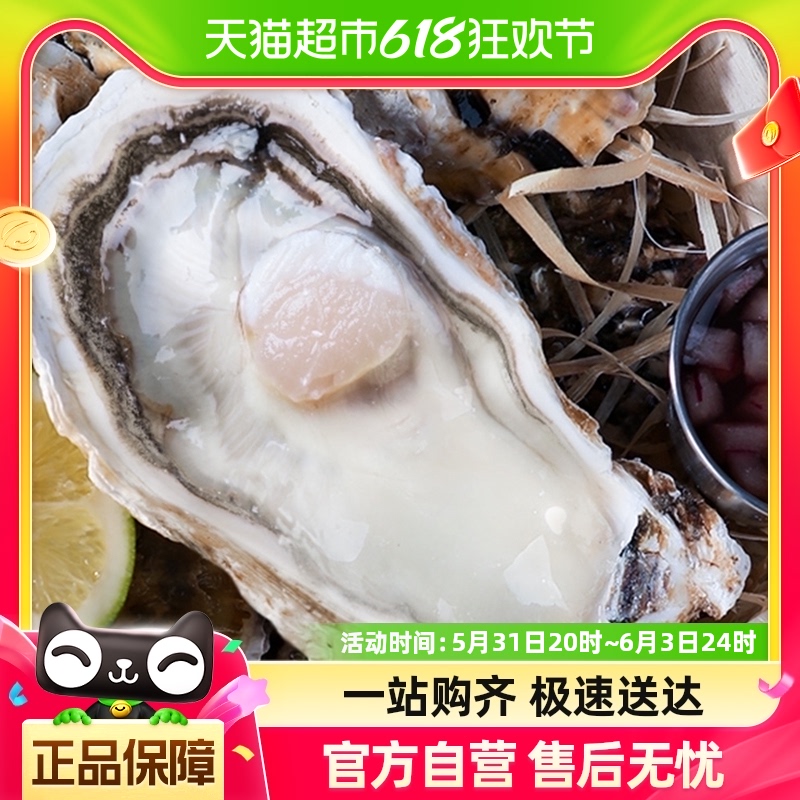鲜海道鲜活乳山生蚝4XL净重5斤10-14只新鲜牡蛎海蛎子海鲜水产