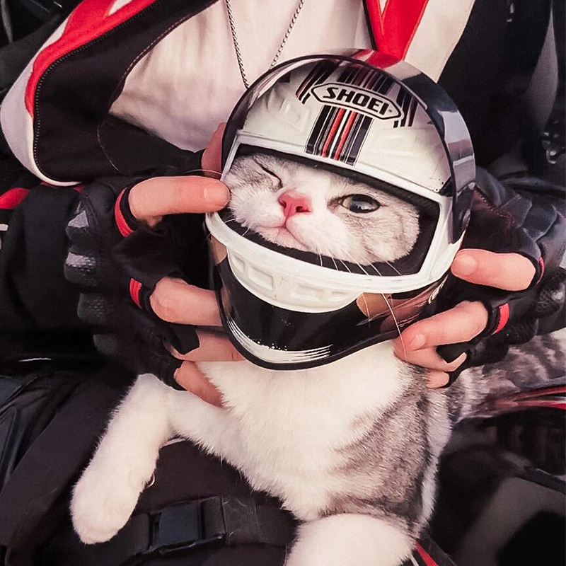 宠物机车头盔喵猫咪专用摩托车头盔猫狗狗帅气迷你机车帽安全帽子