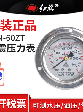 红旗牌YTN-60ZT带边轴向耐震压力表真空水油液气压2.5精度M14接头