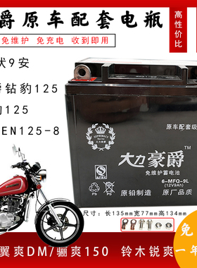 大力豪爵摩托车12V9A免维护干电瓶全新 EN太子125骑士150干电池