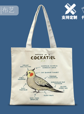 动物解析创意图案手提袋鹦鹉猫咪包包帆布袋设计感小众女手绘布包